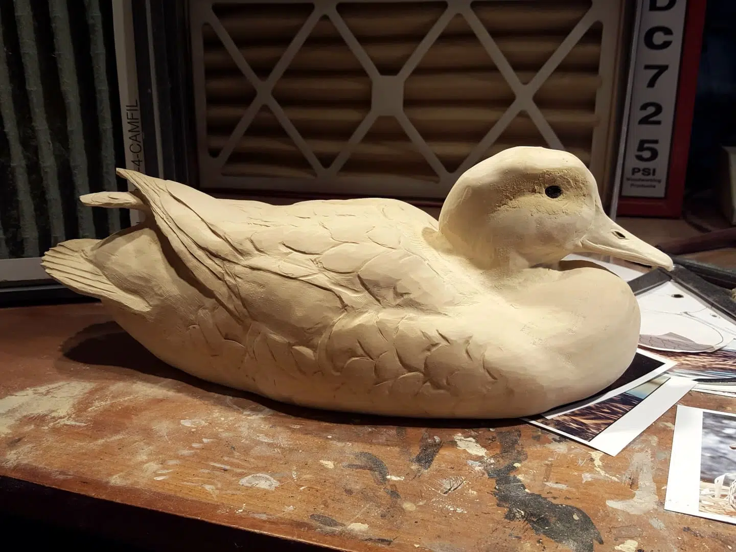 Mallard Hen 1