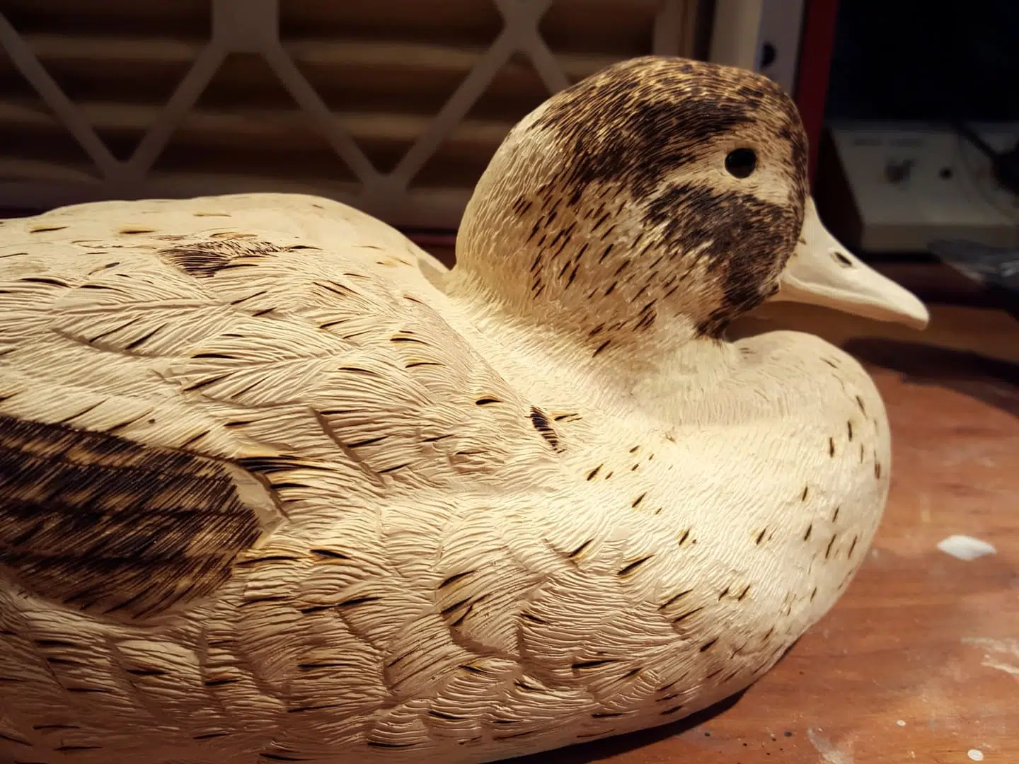 Mallard Hen 3