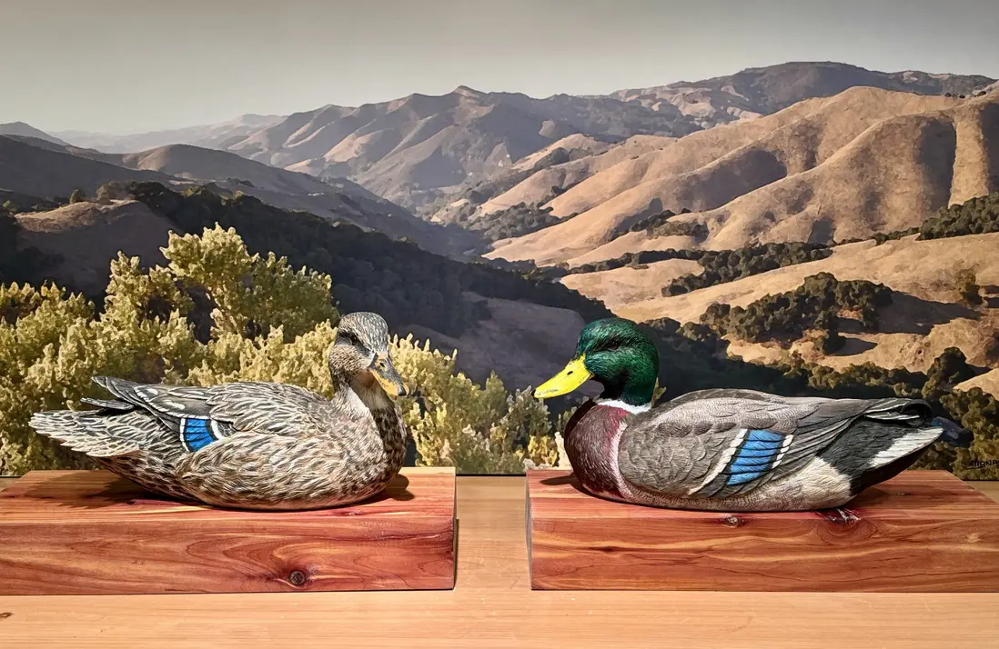 Hand Carved Mallard Pair Urns for dogs