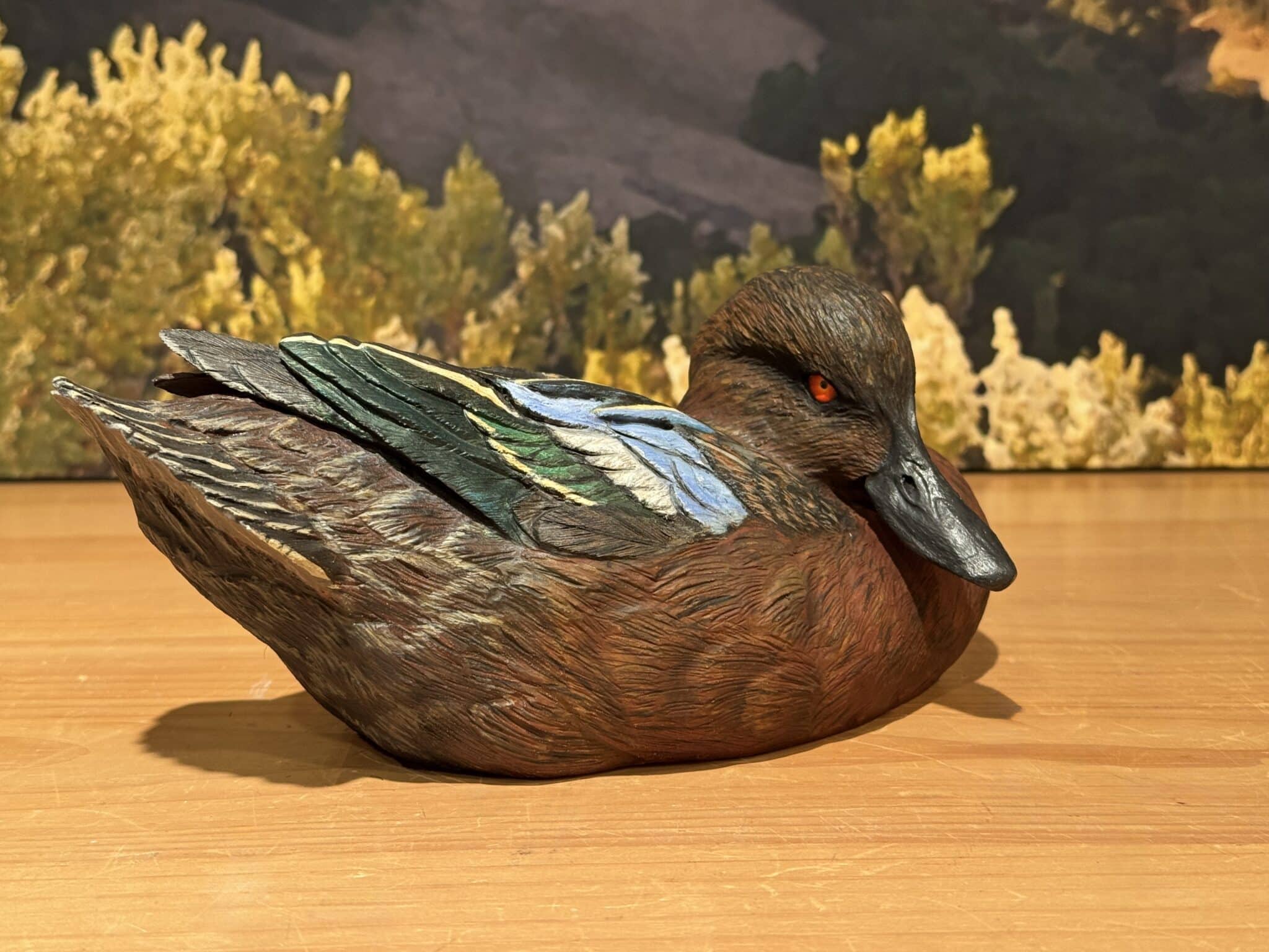 Cinnamon Teal Drake