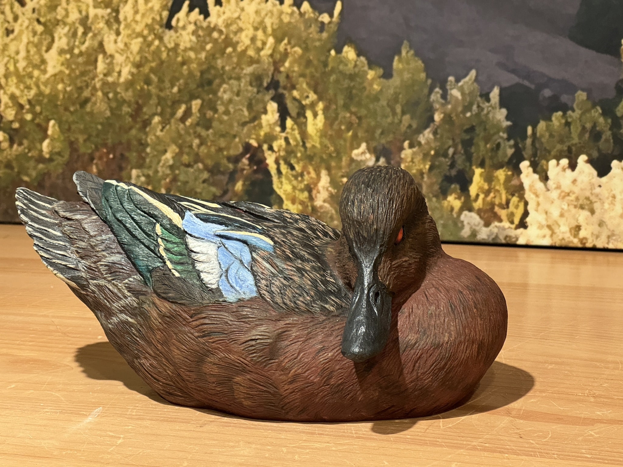 Cinnamon Teal Drake