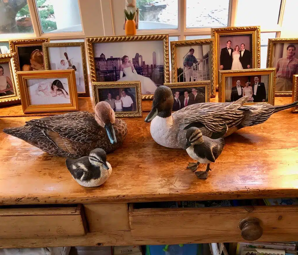 Two ducks on a wooden table surrounded by framed family photos.